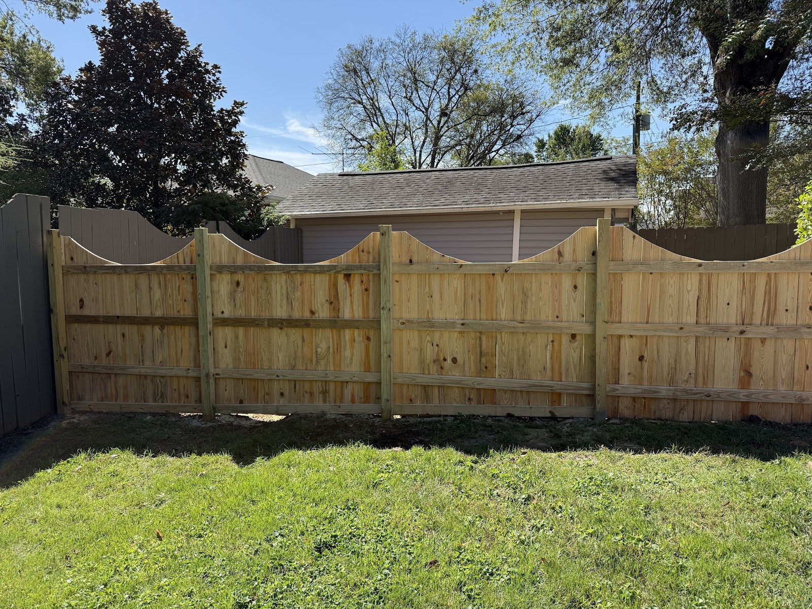 Scalloped-top wood privacy fence viewed from inside a backyard